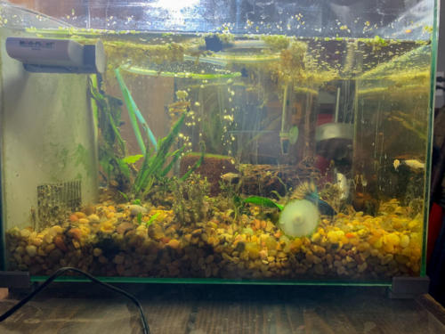 2/18/20 Nano Tank 01 Side View