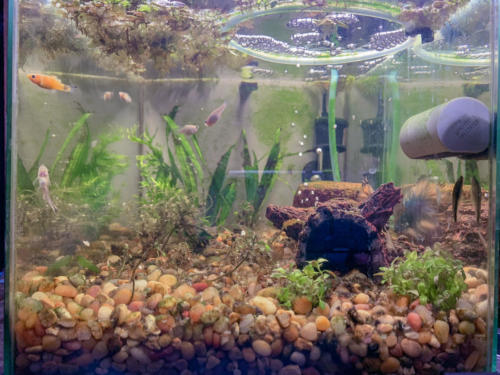 02/22/2020 Front View