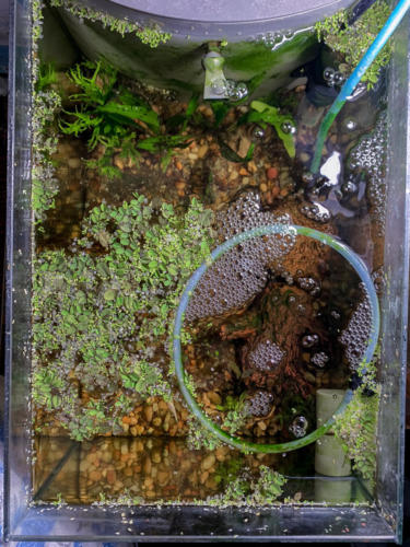 02/22/2020 Top View