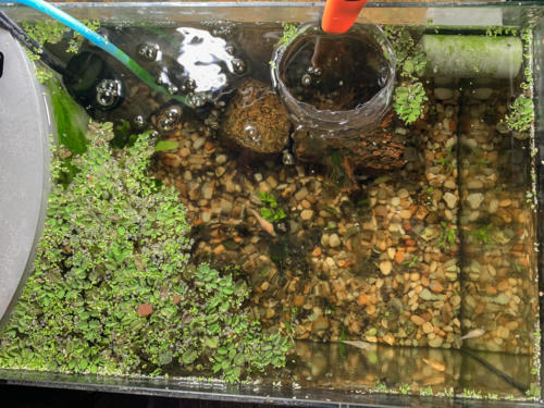 02/23/2020 Top View