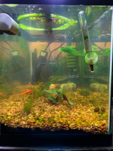 03/03/2020 Nano Tank 02